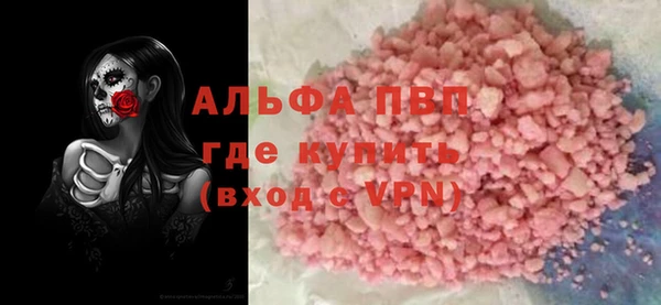 индика Болхов