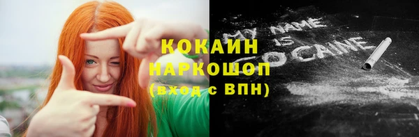 стафф Алексин