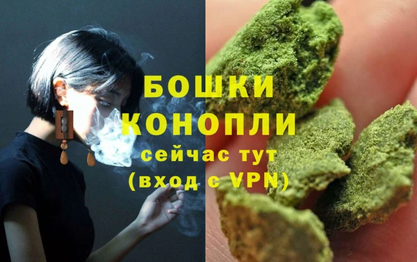 индика Болхов