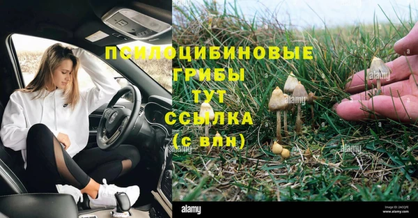 стафф Алексин