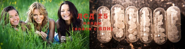мескалин Алзамай