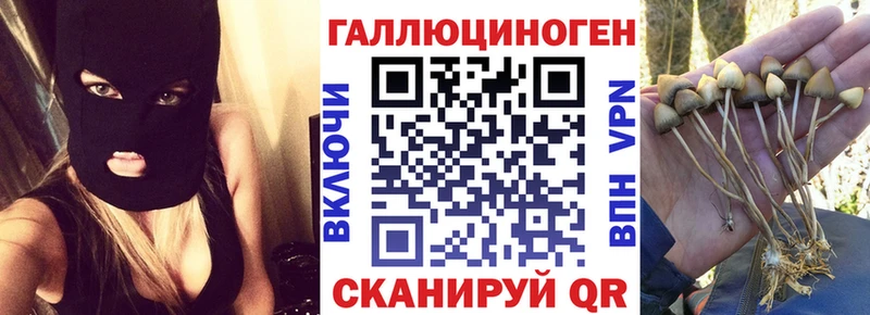 Галлюциногенные грибы Psilocybine cubensis  магазин    Задонск 